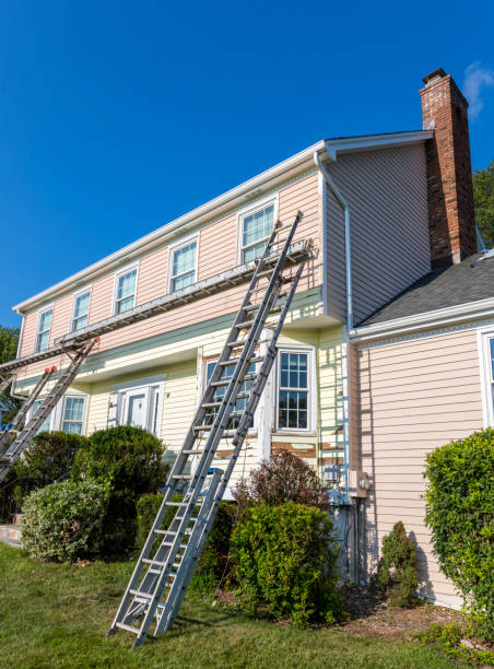 Best Attic Cleanout  in Stapleton, AL